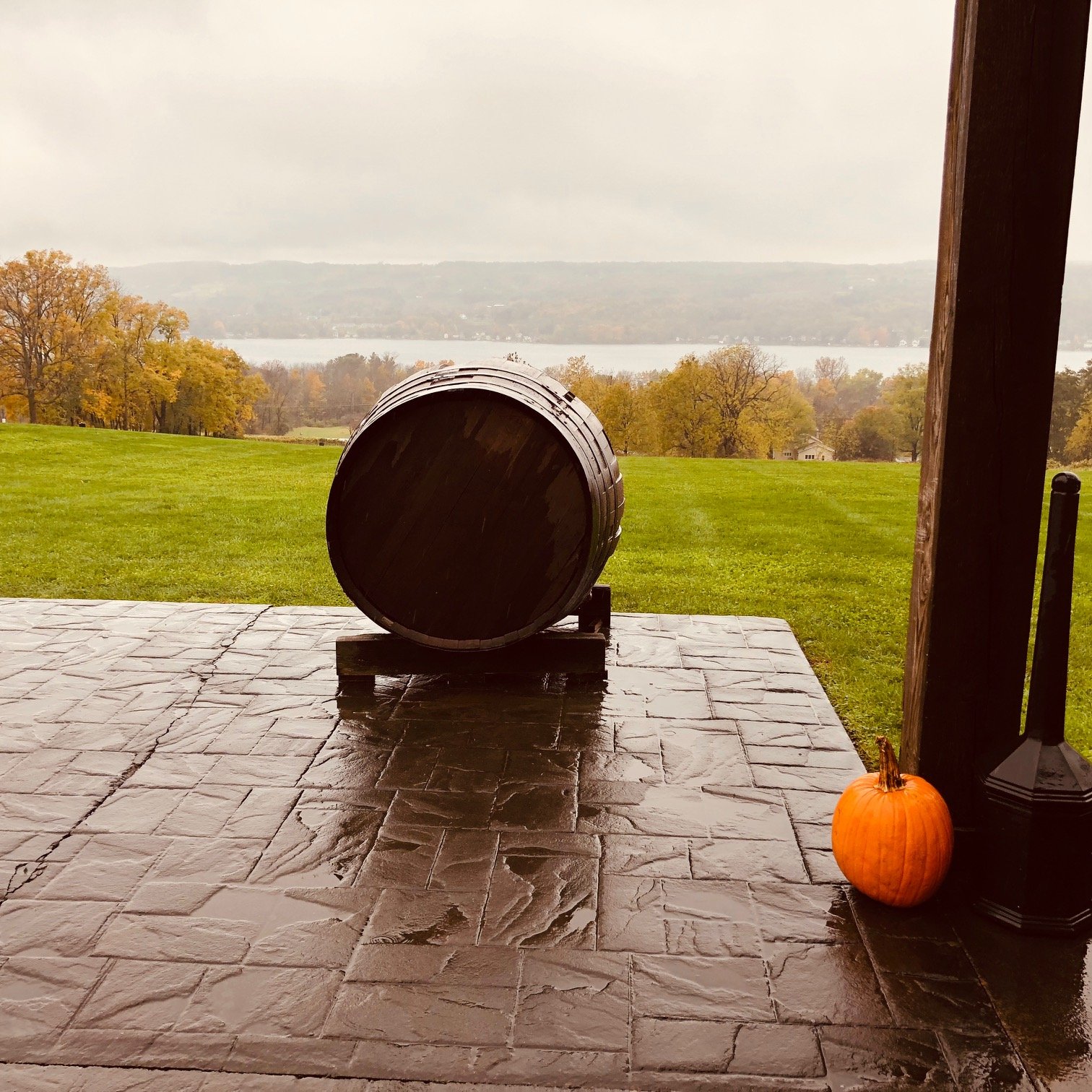 Fall foliage over looking water 