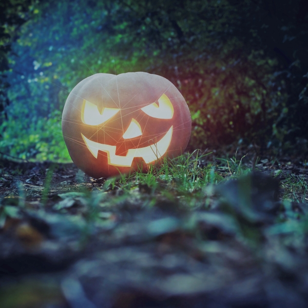 image of scary carved halloween jack-o-latern