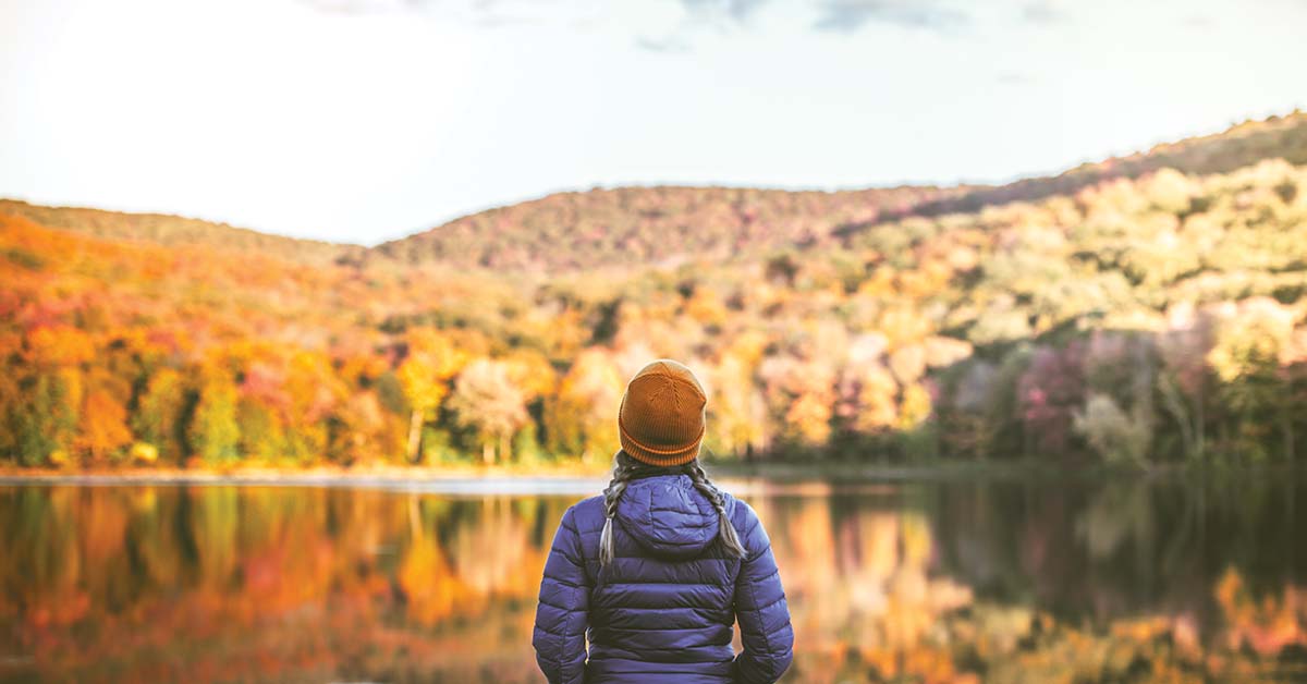 Leaf peeping in the fall