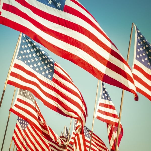 american flags on flagpoles in the wind