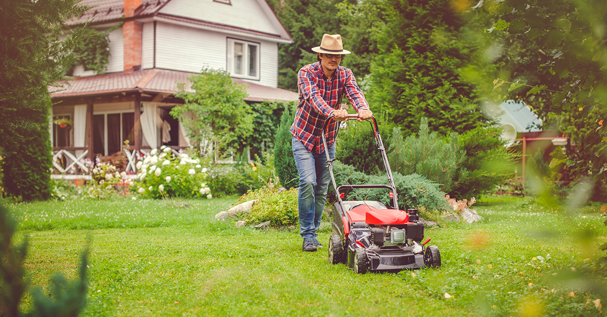 Mowing the lawn