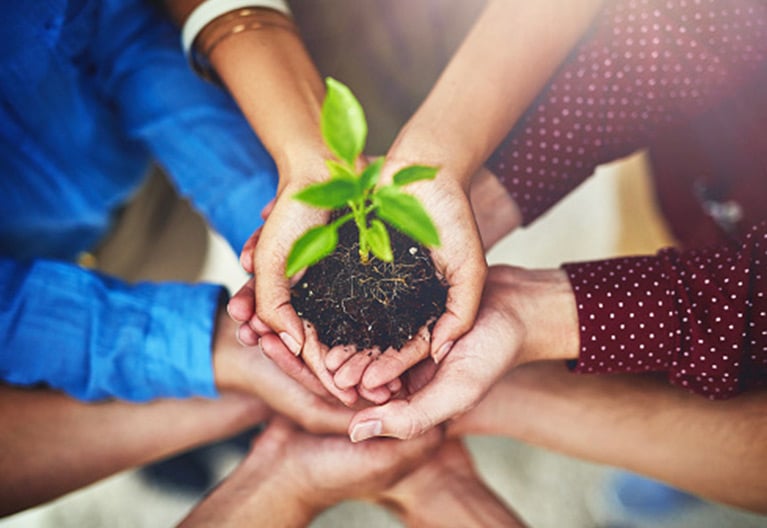 Hands with Growing Plant