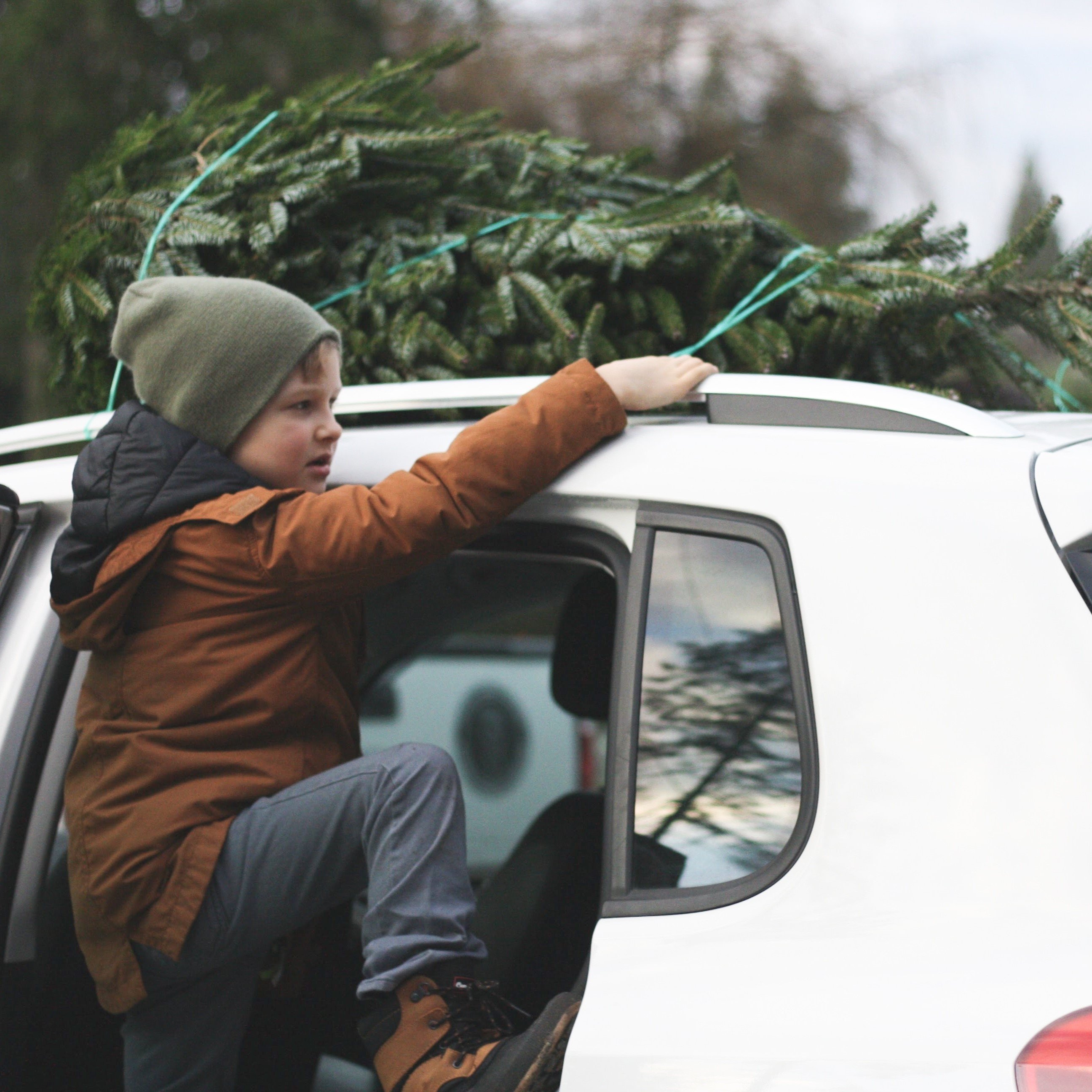 Drivers can damage vehicles with improperly secured trees