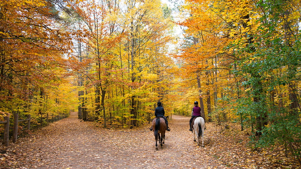 Horse Back riding