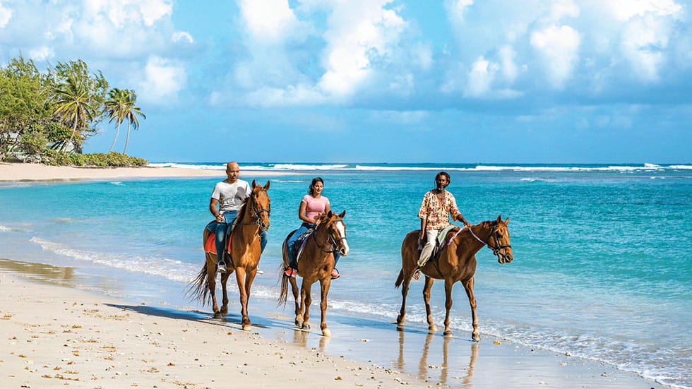 Horse back riding along the coast