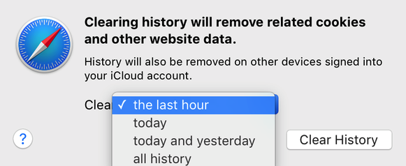 Safari Clear History