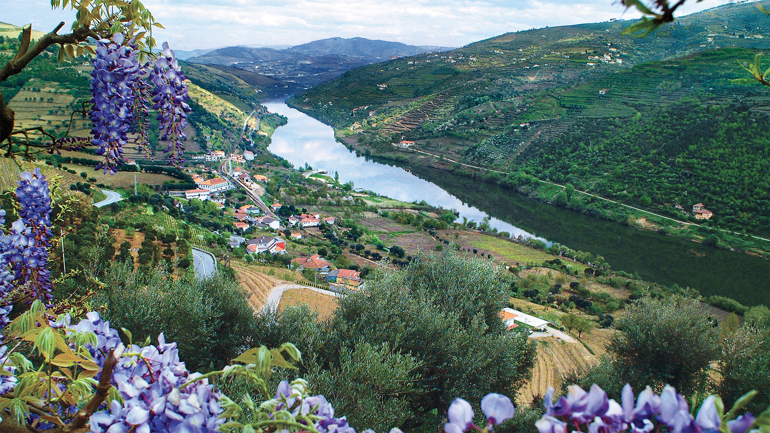 Douro River Valley